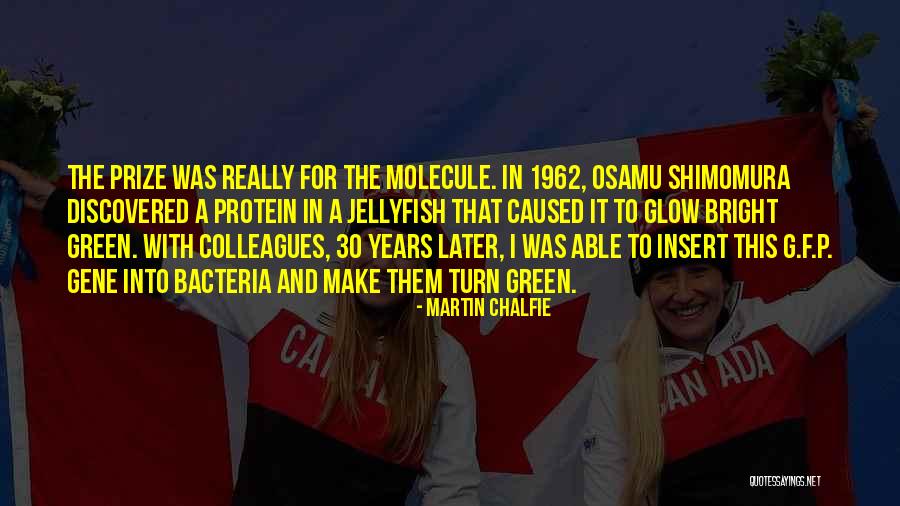 Merceider Quotes By Martin Chalfie Merceider Quotes By Martin Chalfie