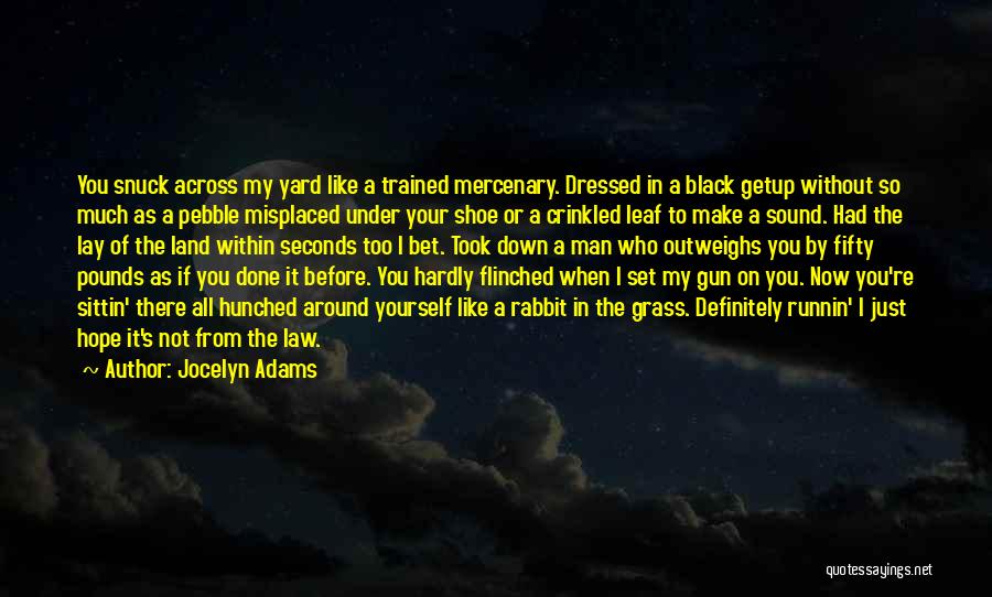 Mercenary Quotes By Jocelyn Adams