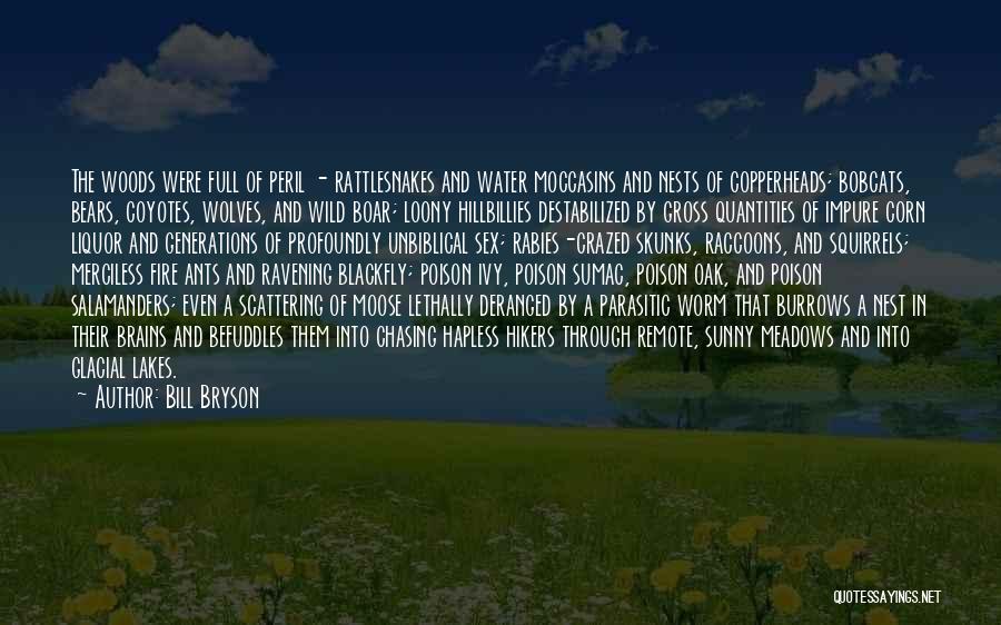 Merciless Quotes By Bill Bryson