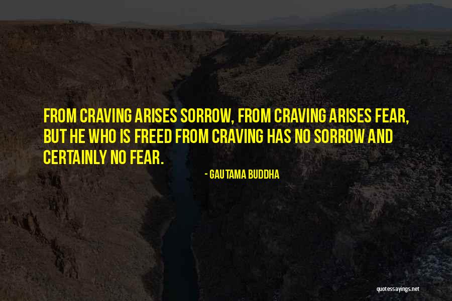 Mercilus Injury Quotes By Gautama Buddha Mercilus Injury Quotes By Gautama Buddha
