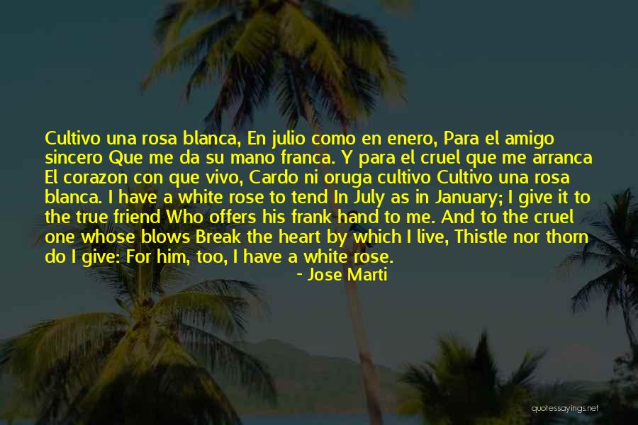 Merckx Meubelen Quotes By Jose Marti Merckx Meubelen Quotes By Jose Marti