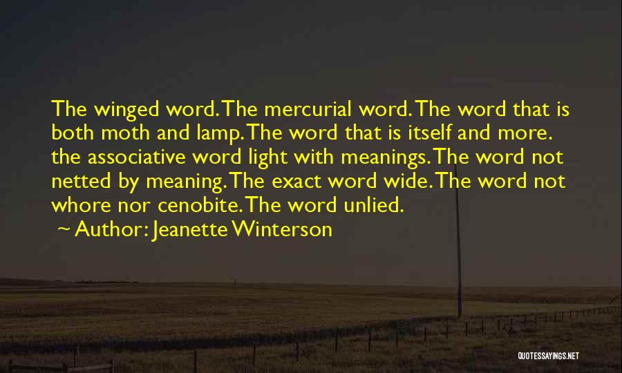 Mercurial Quotes By Jeanette Winterson
