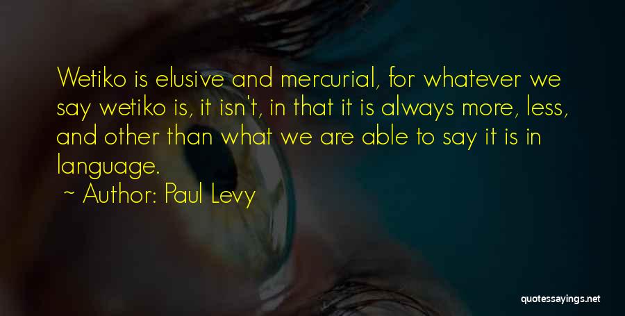 Mercurial Quotes By Paul Levy