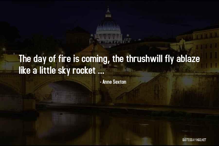 Mercurio Liquido Quotes By Anne Sexton