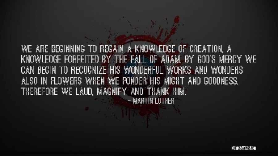 Mercy And Adam Quotes By Martin Luther