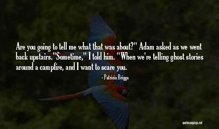 Mercy And Adam Quotes By Patricia Briggs