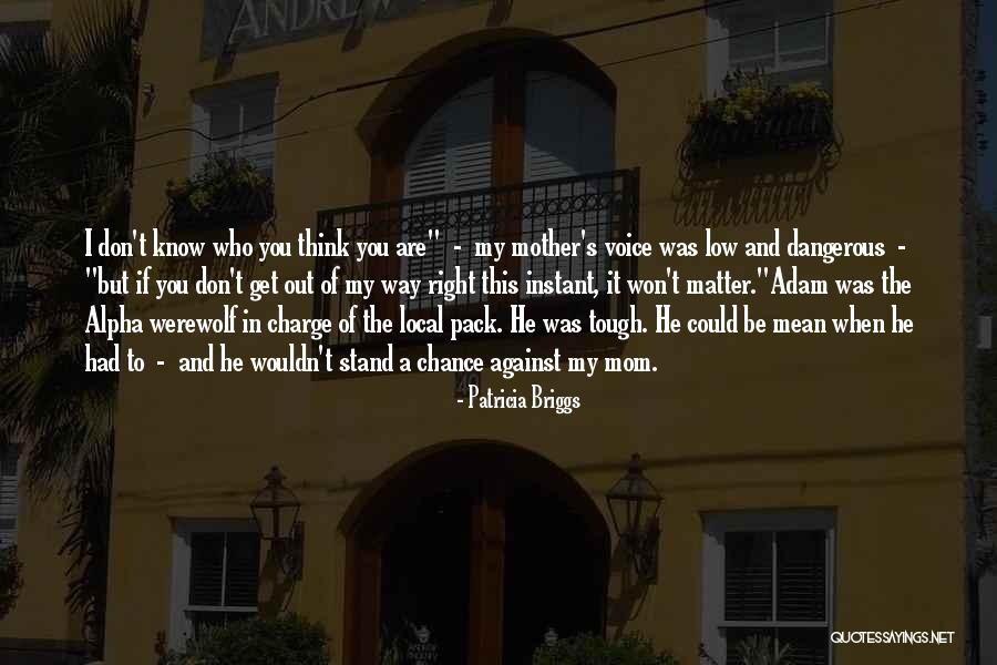 Mercy And Adam Quotes By Patricia Briggs Mercy And Adam Quotes By Patricia Briggs