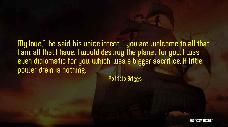 Mercy And Adam Quotes By Patricia Briggs