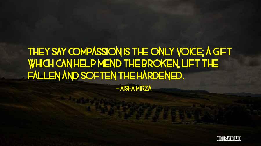 Mercy And Compassion Quotes By Aisha Mirza