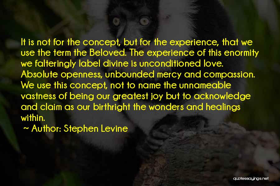 Mercy And Compassion Quotes By Stephen Levine