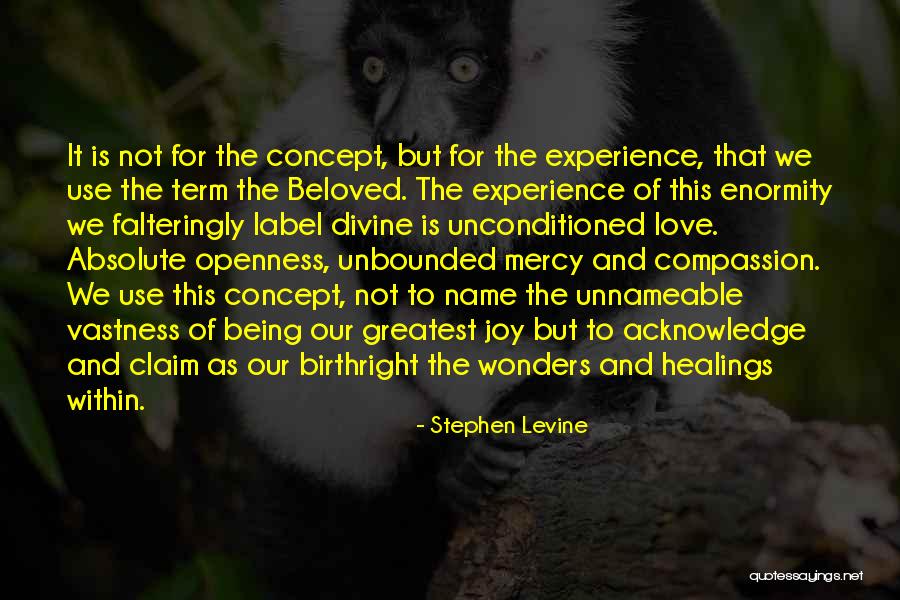 Mercy And Compassion Quotes By Stephen Levine Mercy And Compassion Quotes By Stephen Levine