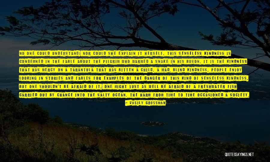 Mercy And Kindness Quotes By Vasily Grossman Mercy And Kindness Quotes By Vasily Grossman