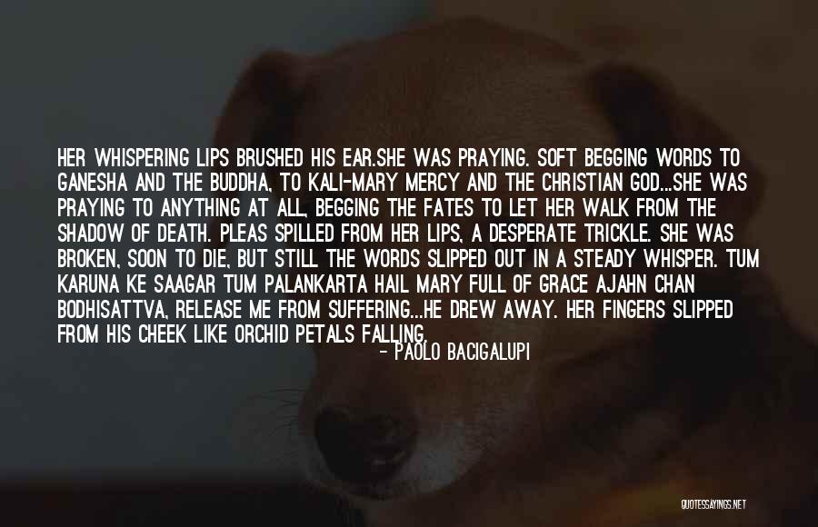 Mercy Christian Quotes By Paolo Bacigalupi Mercy Christian Quotes By Paolo Bacigalupi