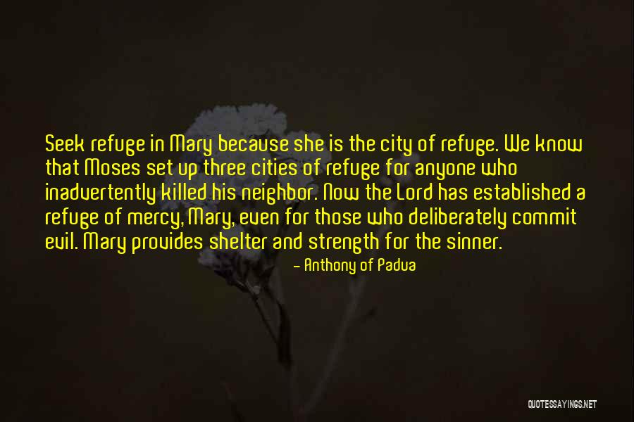 Mercy Of The Lord Quotes By Anthony Of Padua Mercy Of The Lord Quotes By Anthony Of Padua
