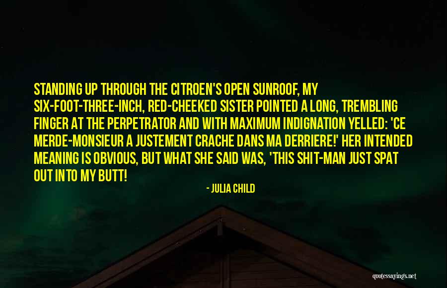 Merde Actually Quotes By Julia Child Merde Actually Quotes By Julia Child