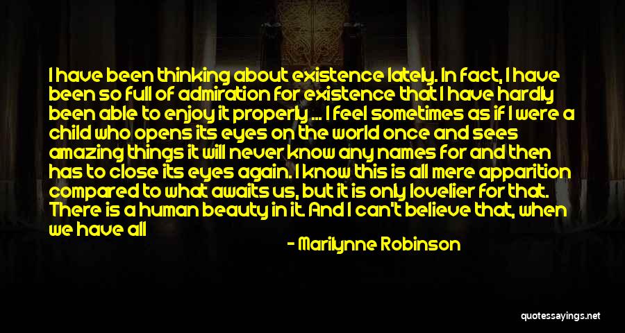 Mere Existence Quotes By Marilynne Robinson Mere Existence Quotes By Marilynne Robinson