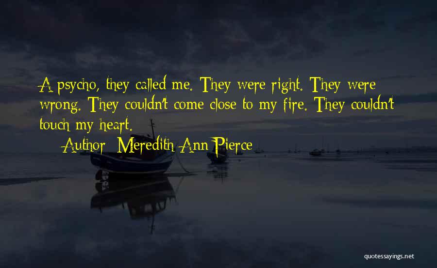 Meredith Ann Pierce Quotes 1049881