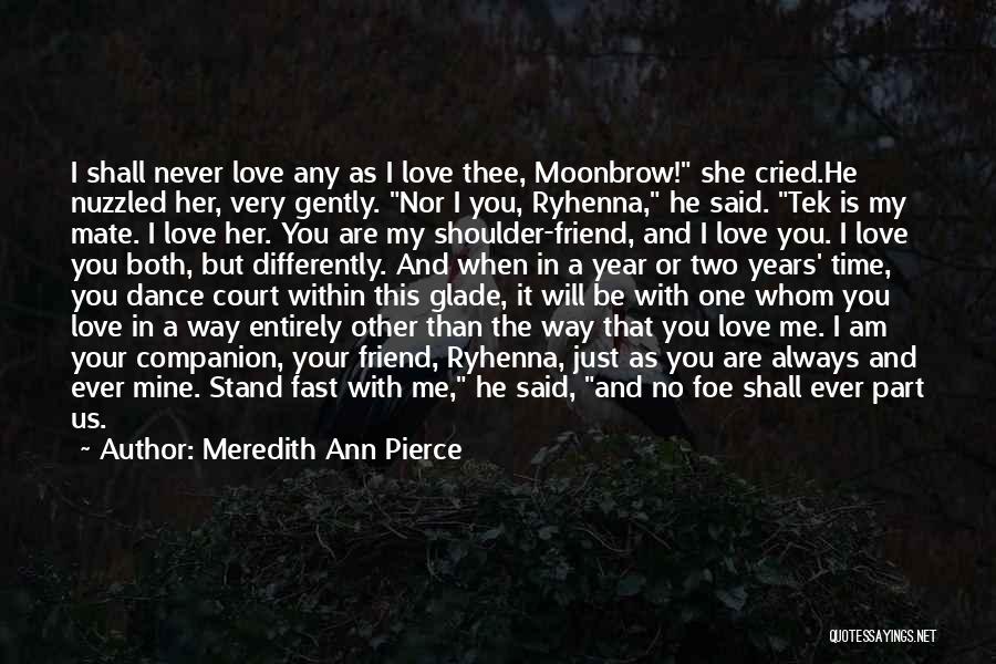 Meredith Ann Pierce Quotes 730138