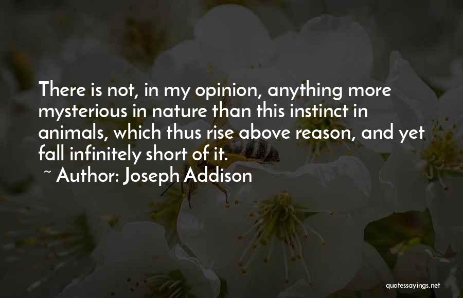 Meredith Gray Inspirational Quotes By Joseph Addison