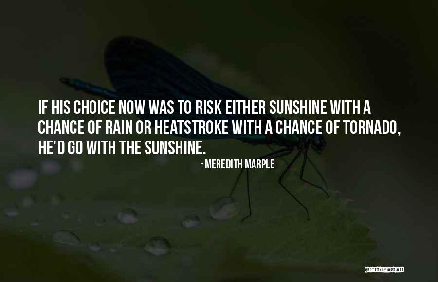 Meredith Marple Quotes 940054 Meredith Marple Quotes 940054