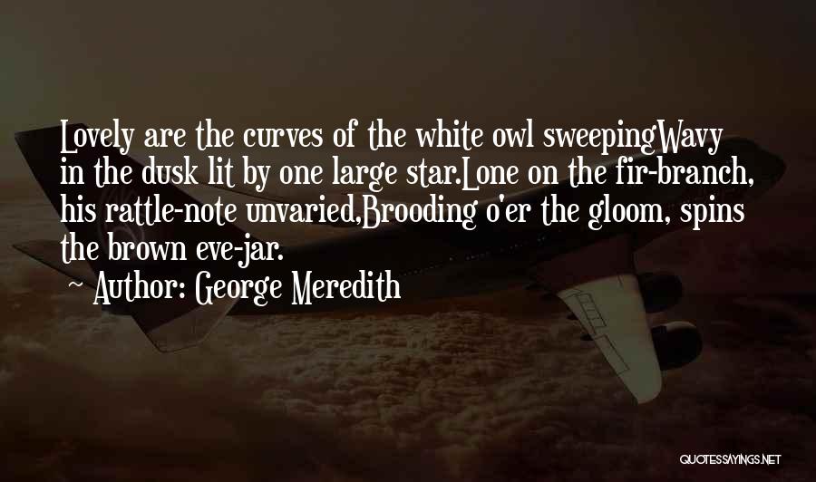 Meredith O'sullivan Quotes By George Meredith