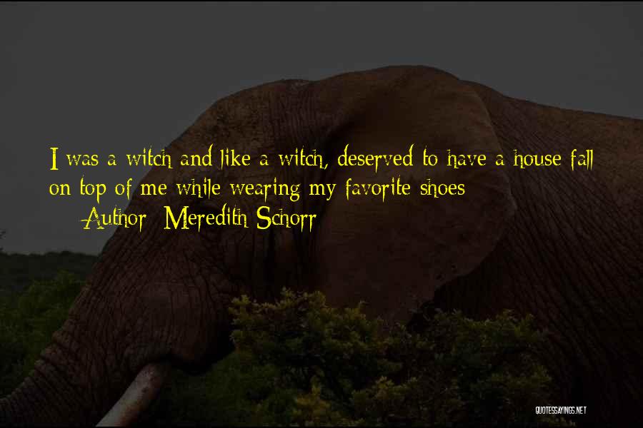 Meredith Schorr Quotes 1494669