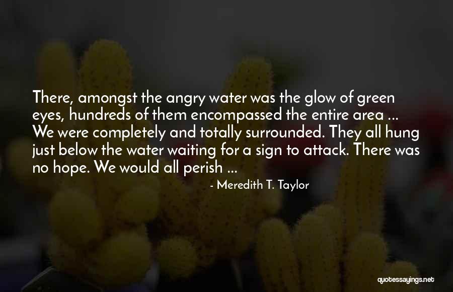 Meredith T. Taylor Quotes 106168