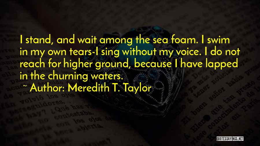 Meredith T. Taylor Quotes 94639