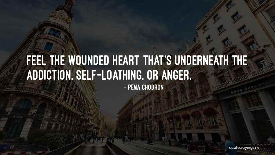 Meredith The Office Quotes By Pema Chodron Meredith The Office Quotes By Pema Chodron