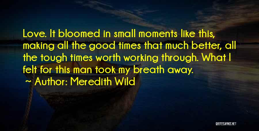 Meredith Wild Quotes 1201086