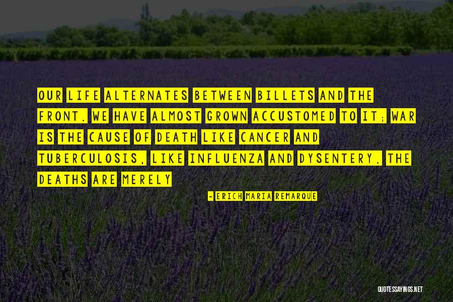 Merely Quotes By Erich Maria Remarque Merely Quotes By Erich Maria Remarque
