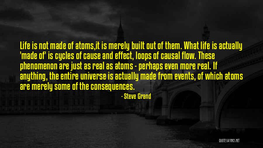 Merely Quotes By Steve Grand Merely Quotes By Steve Grand