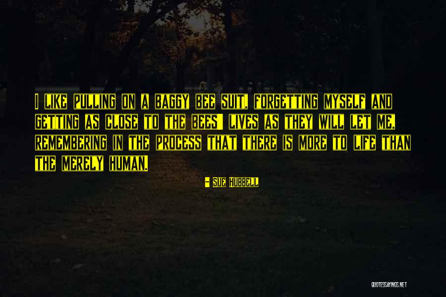 Merely Quotes By Sue Hubbell Merely Quotes By Sue Hubbell