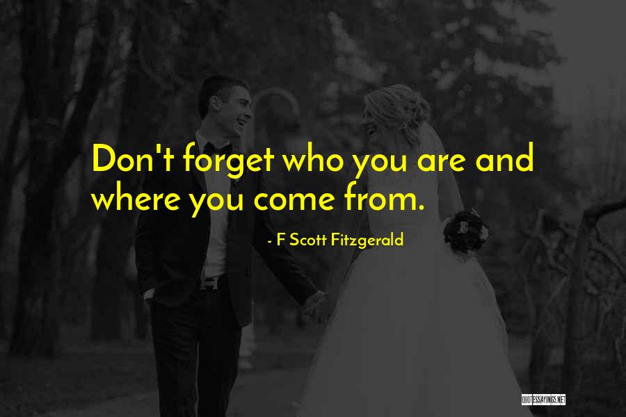 Meresamun Quotes By F Scott Fitzgerald Meresamun Quotes By F Scott Fitzgerald