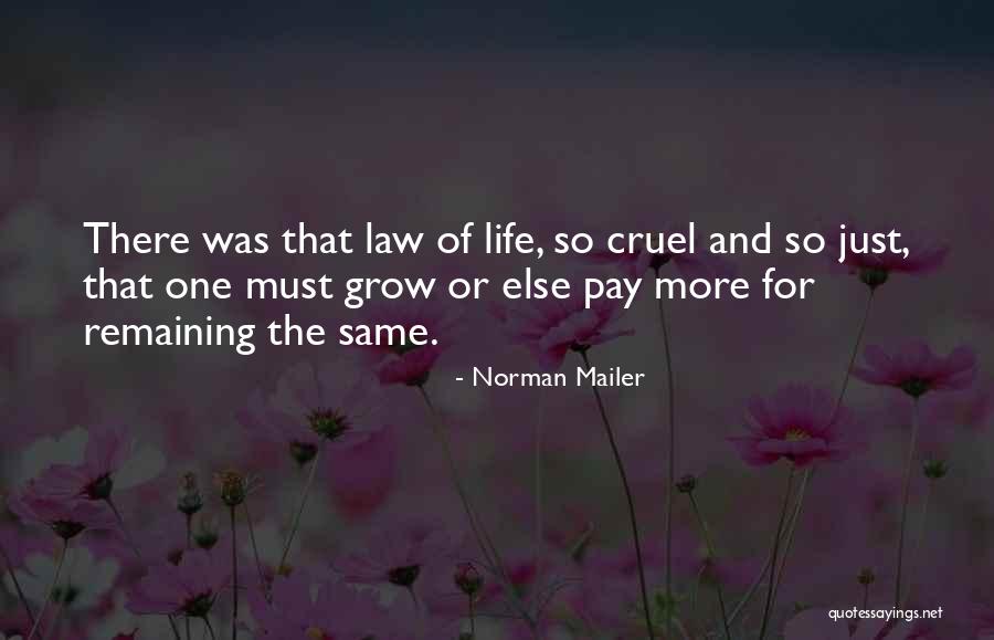 Merete Mazzarella Quotes By Norman Mailer Merete Mazzarella Quotes By Norman Mailer