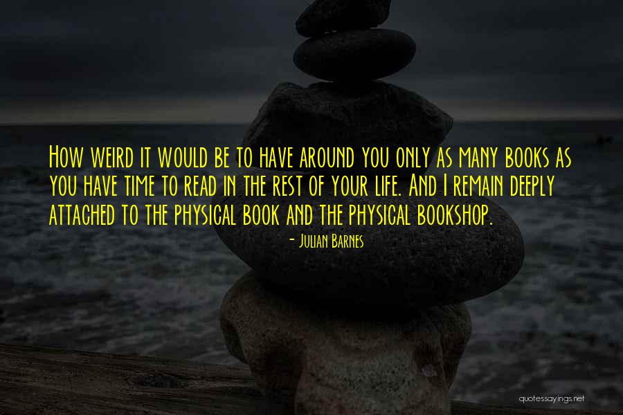 Meretrix Shell Quotes By Julian Barnes Meretrix Shell Quotes By Julian Barnes