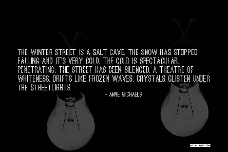 Mergeler Quotes By Anne Michaels Mergeler Quotes By Anne Michaels