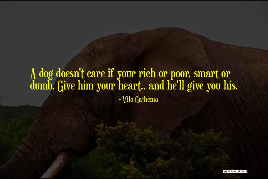 Mergent Inc Quotes By Milo Gathema Mergent Inc Quotes By Milo Gathema