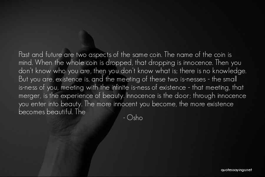 Merger Quotes By Osho Merger Quotes By Osho