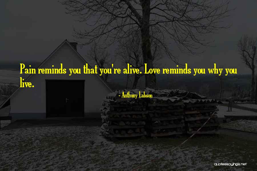 Meri Meri Advent Quotes By Anthony Labson Meri Meri Advent Quotes By Anthony Labson