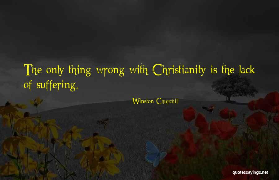 Merial Quotes By Winston Churchill Merial Quotes By Winston Churchill