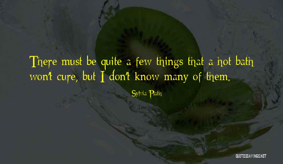 Meridionales Quotes By Sylvia Plath Meridionales Quotes By Sylvia Plath