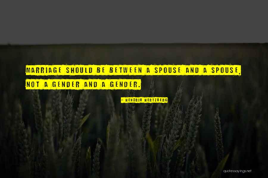 Merik Quotes By Hendrik Hertzberg Merik Quotes By Hendrik Hertzberg