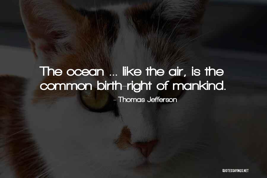 Merilyn Quotes By Thomas Jefferson Merilyn Quotes By Thomas Jefferson