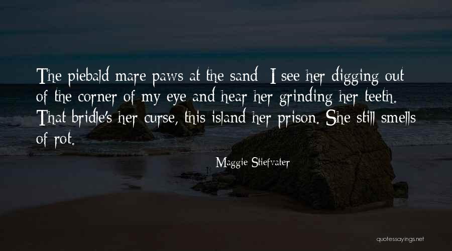 Meringues Cookies Quotes By Maggie Stiefvater