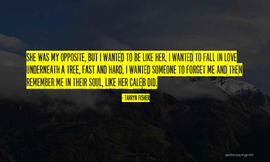 Meringues Cookies Quotes By Tarryn Fisher