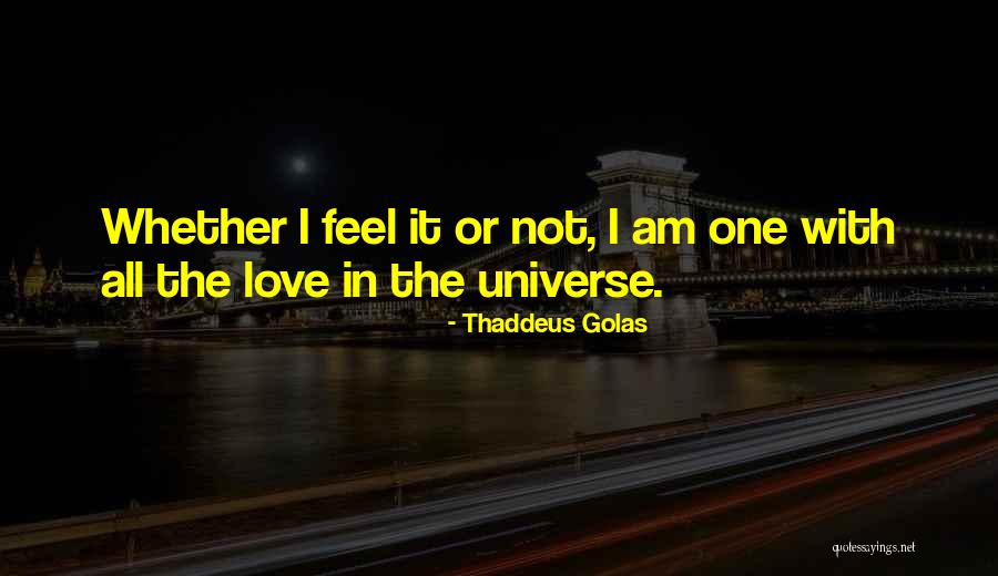 Meringueshop Quotes By Thaddeus Golas