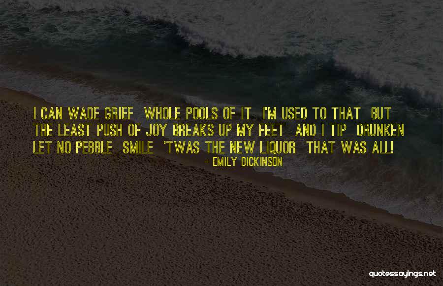 Merissa Lynn Quotes By Emily Dickinson