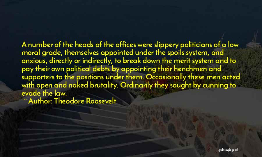 Merit Pay Quotes By Theodore Roosevelt