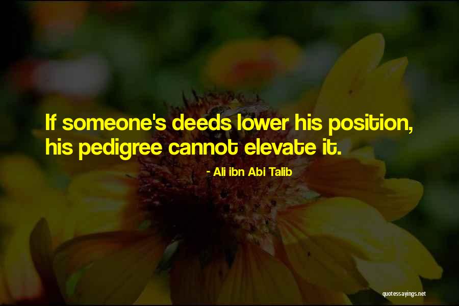 Meritocracy Quotes By Ali Ibn Abi Talib Meritocracy Quotes By Ali Ibn Abi Talib